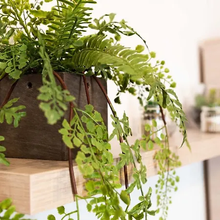Apartment Aires De Conil *